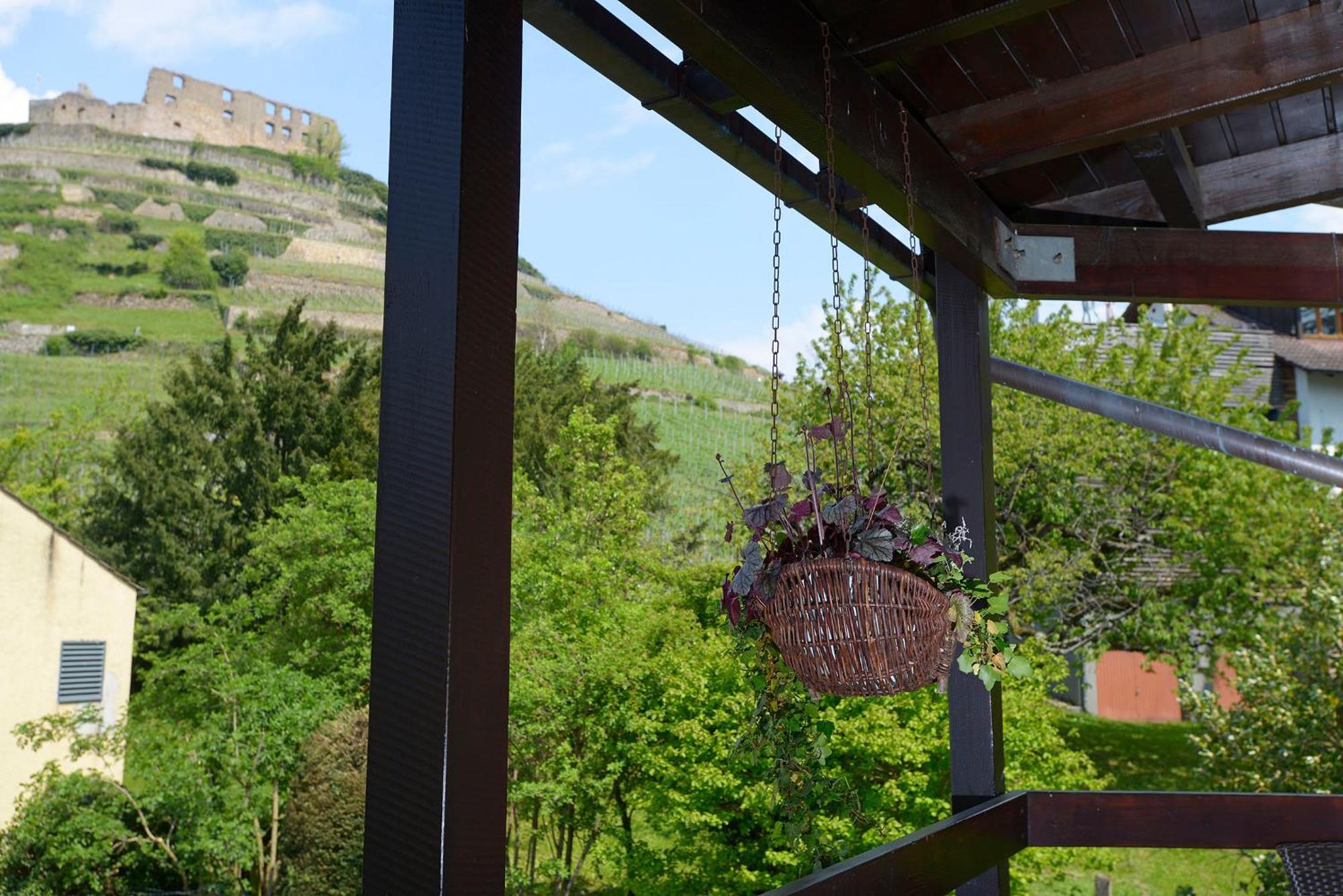 Gaestehaus Goethe Staufen im Breisgau Eksteriør billede